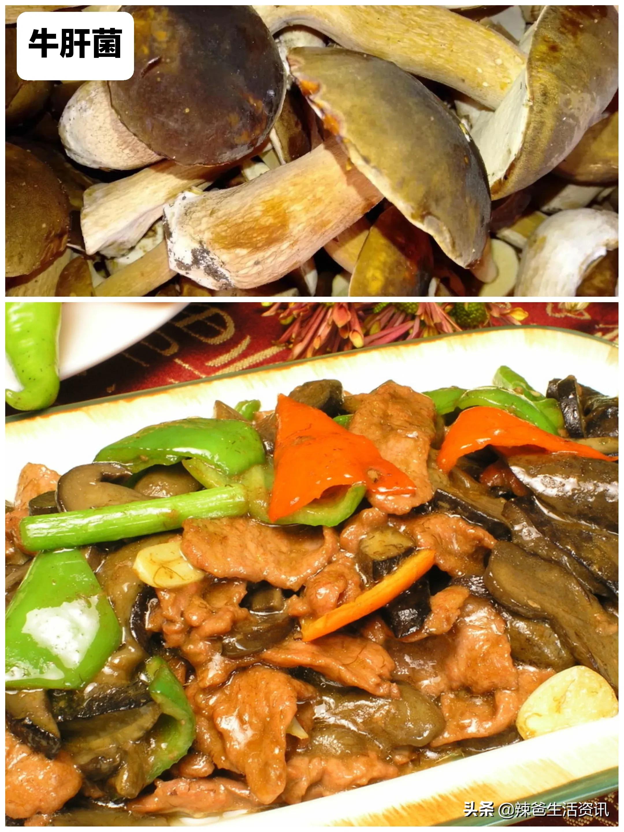 100种食用蘑菇大全,蘑菇的12种最佳吃法