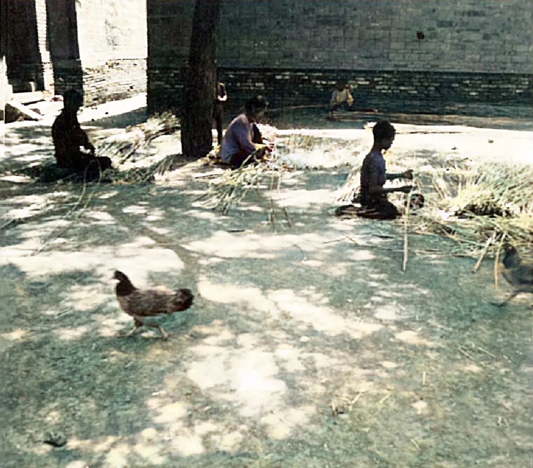 安新镇地图街景,安新县以前的视频