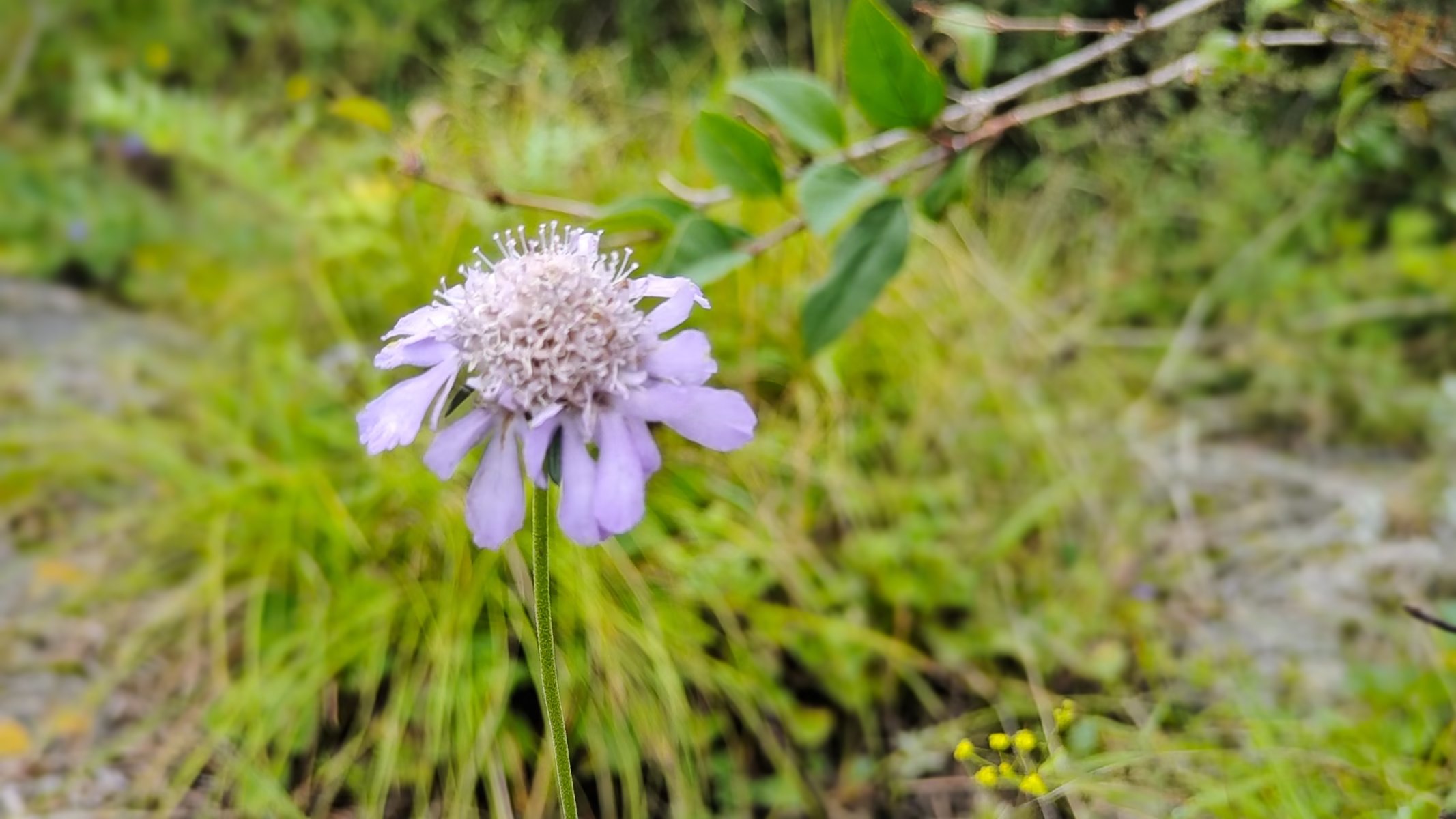 太行山脉徒步穿越,南太行十字岭徒步王莽岭