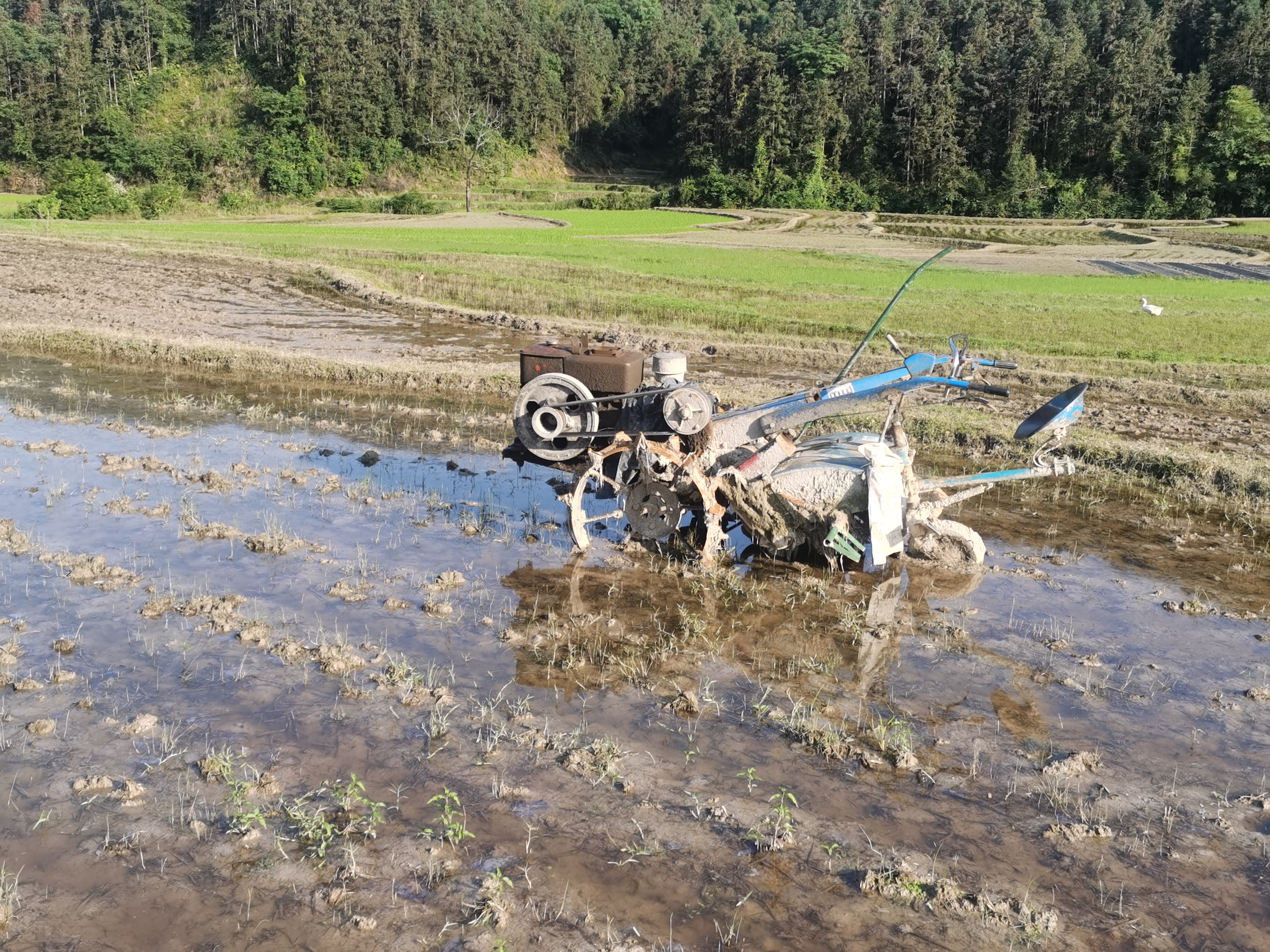 在乡下干活累死了,种地一亩地能赚500块钱吗