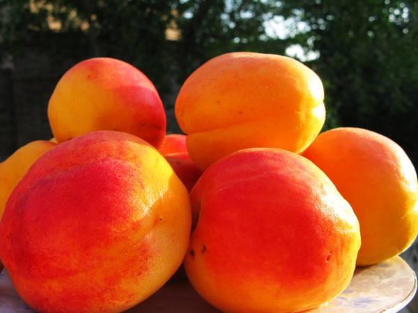 甘肃这边的水果,甘肃的水果少吗