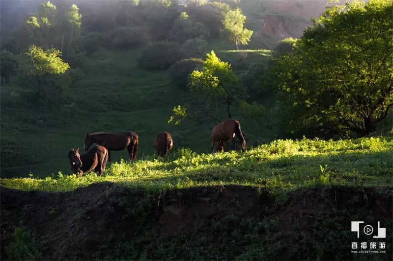 邂逅，不止想象！来宝鸡解锁“瞬息全宇宙”