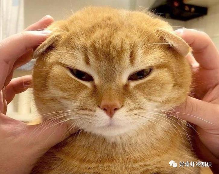 心跳快为什么有助于减肥,心跳加快饿得很快怎么回事