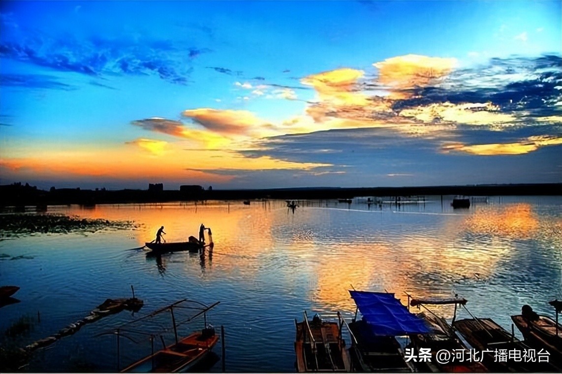 今日的白洋淀视频,现在白洋淀的情况