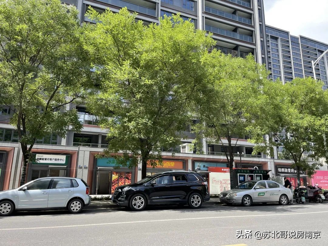 南京富园栖望府开盘售罄,南京富园栖望府什么学区