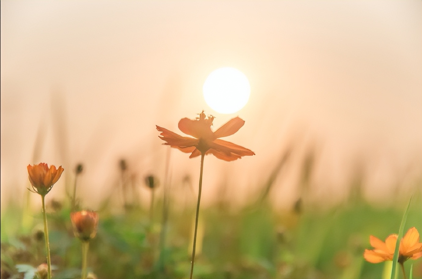 和老公过不下去应该和父母说吗,跟老公过不下去了还要孩子吗