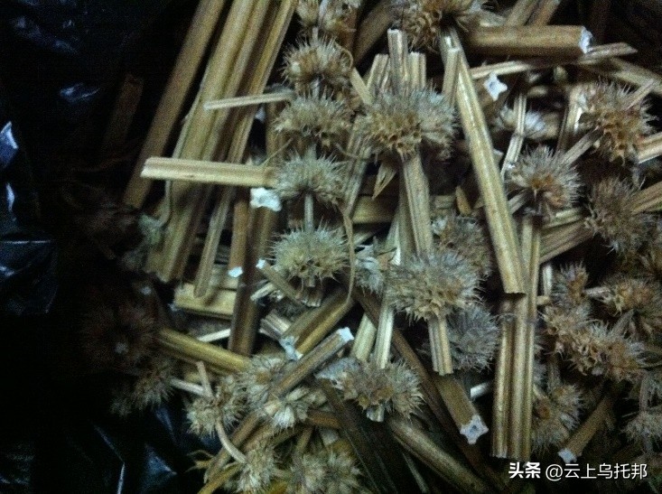 缇庢床浼犵粺鍖诲,鍙や唬缇庢床鎬庝箞娌荤梾