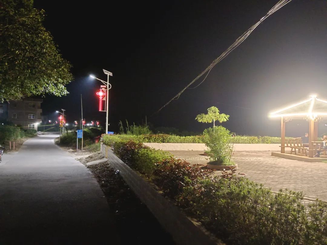 为肇庆高质量发展做出自己努力,奋力推进肇庆改革发展新跨越