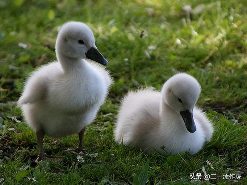 从男人变女人需要花多少钱,从男生变女生需要多少钱