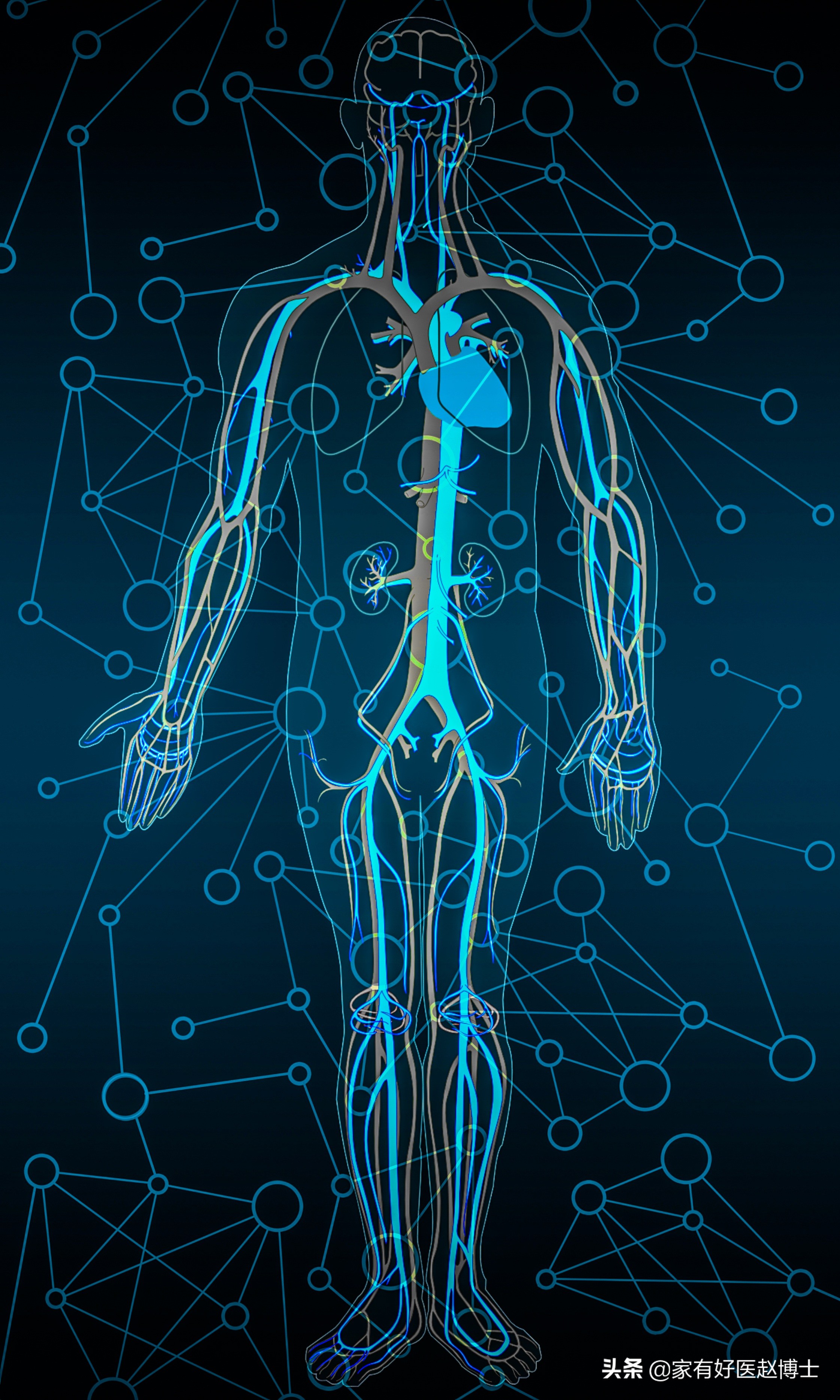 只有饭后两小时血糖偏高如何调理,只是餐后血糖高吃什么药治疗