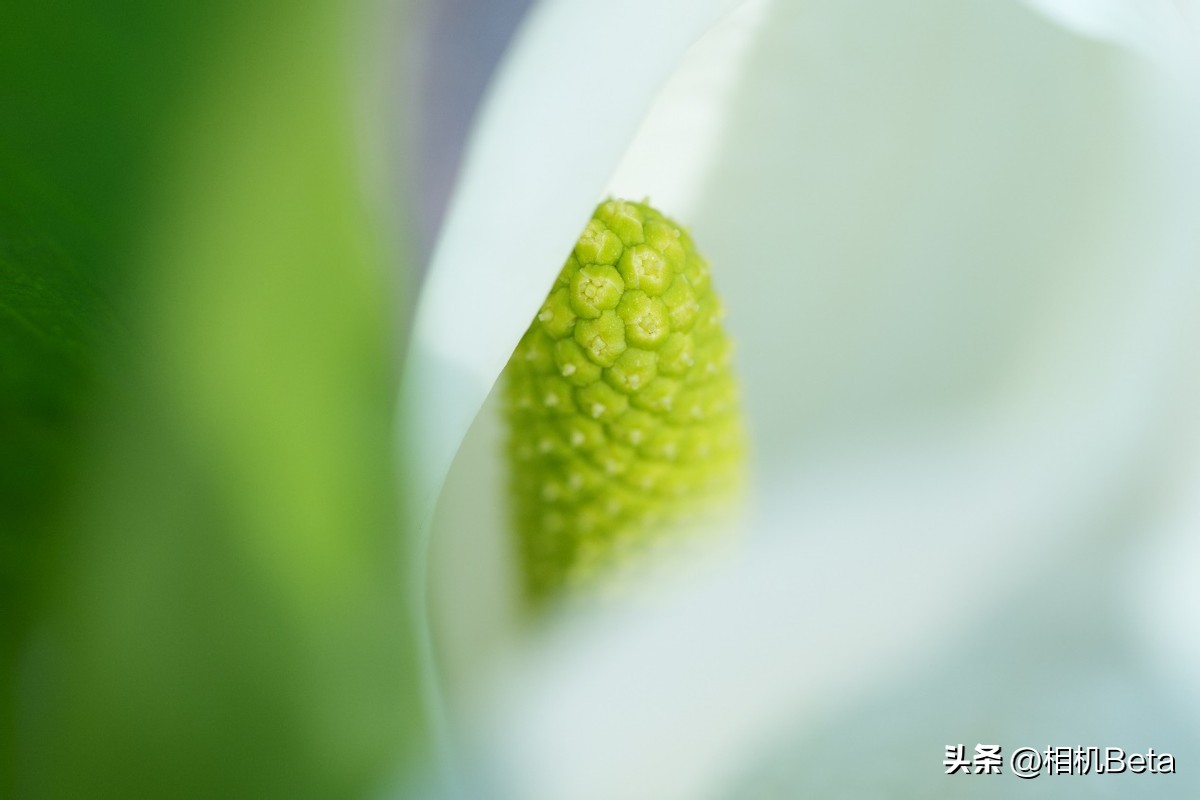 索尼fe70-200mmf4价格是多少钱,索尼fe24-70f4g新一代小三元