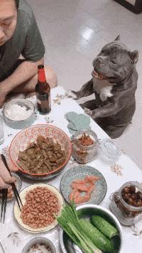 女生衣服上的字母含义,你知道衣服上的字什么意思吗