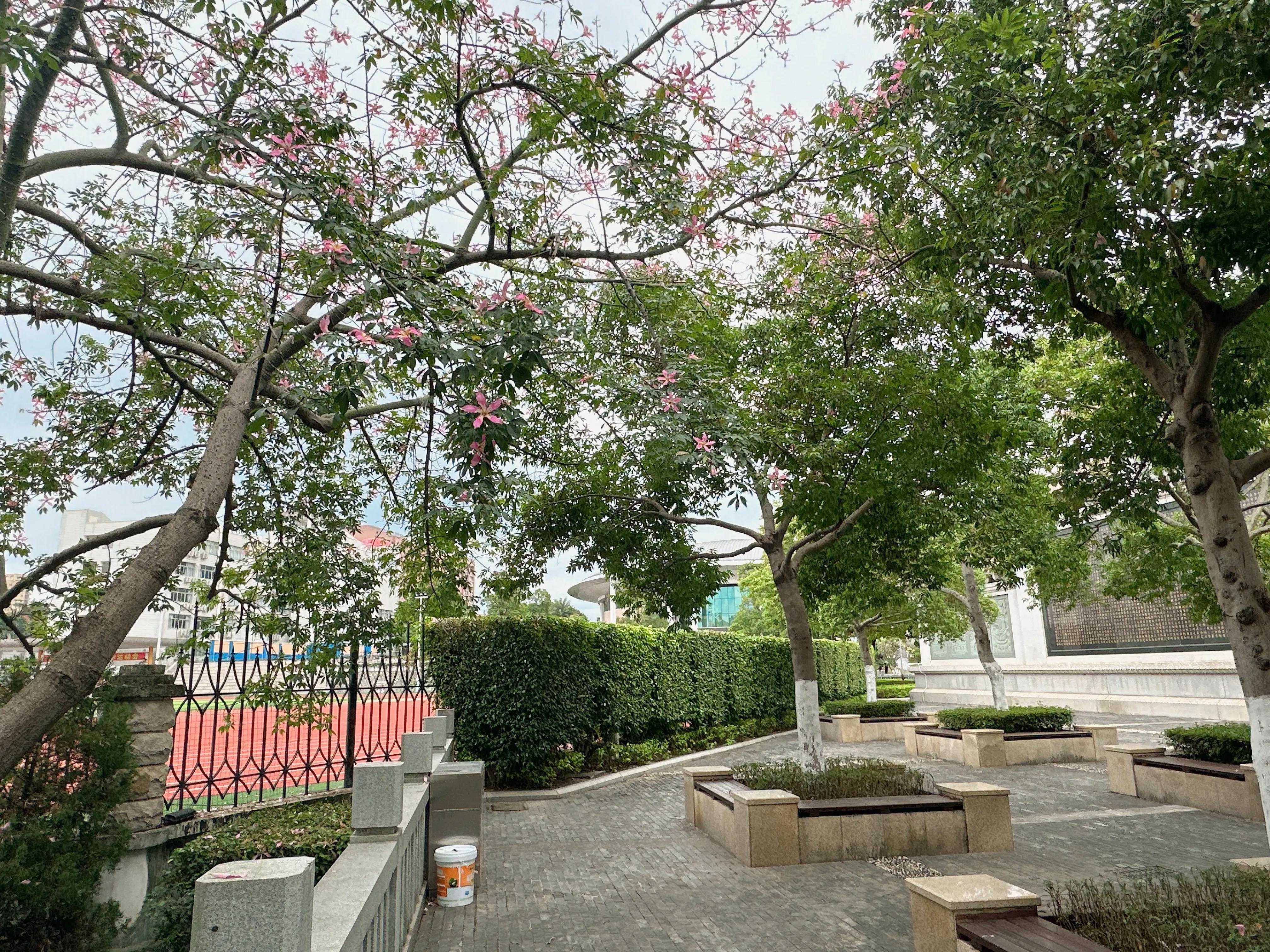 2019年同安一中95周年校庆,omg校庆