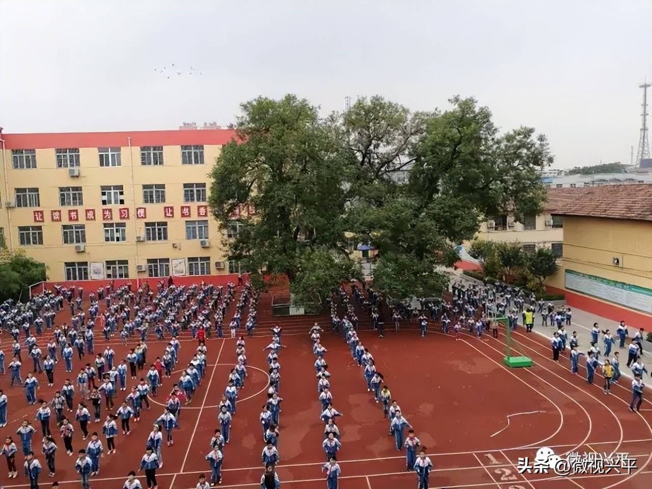 兴平县门街小学往事