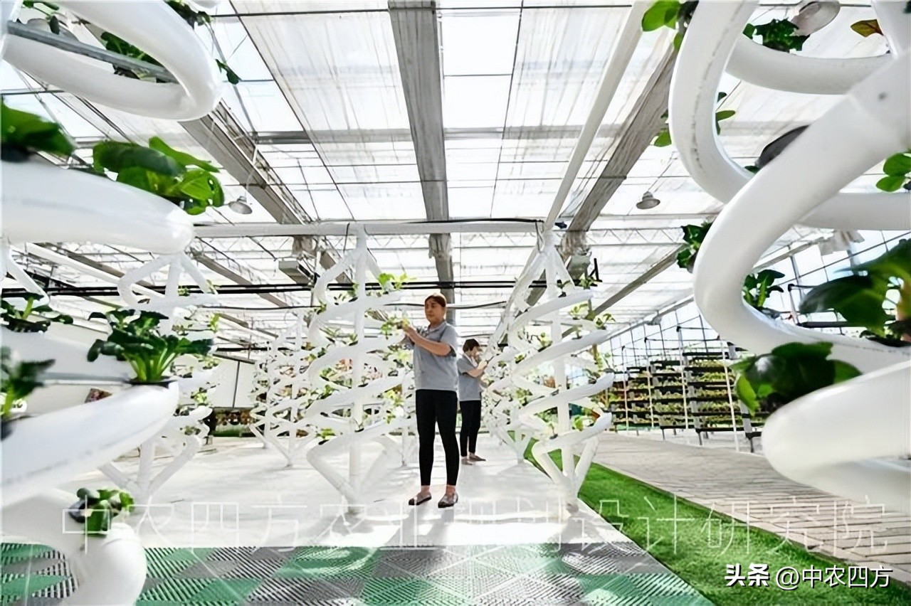 现代农业助推传统农业转型升级,农业新业态新模式