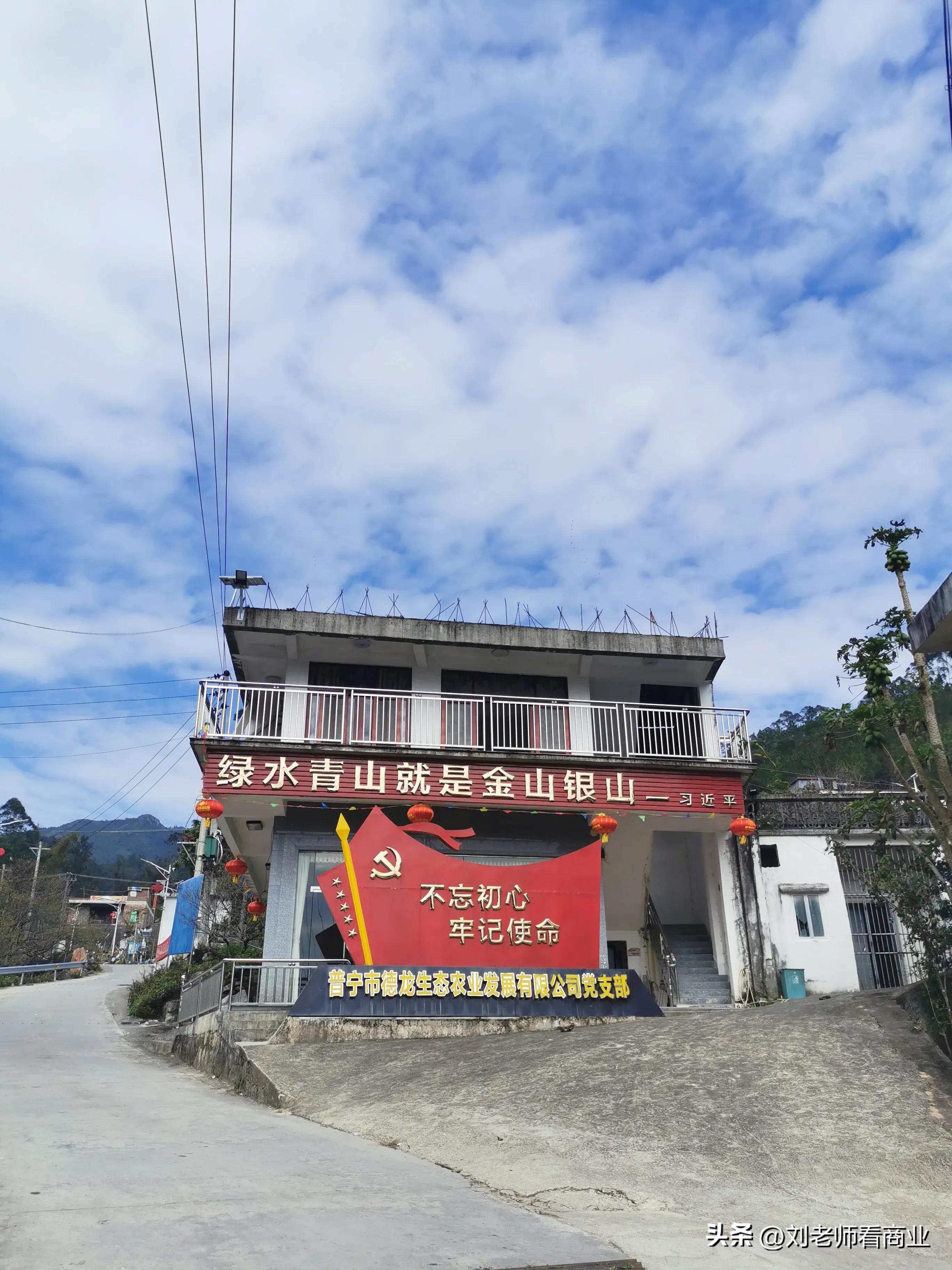 普宁老仙洞梅花盛开,普宁赏梅花最佳地点