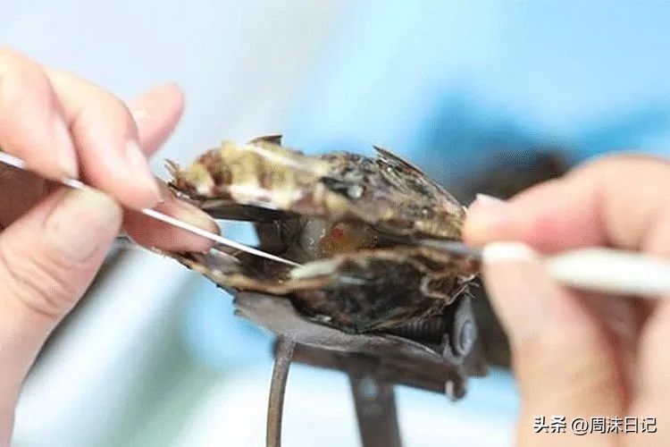 戴什么珍珠最有气质,什么气质适合戴珍珠耳钉