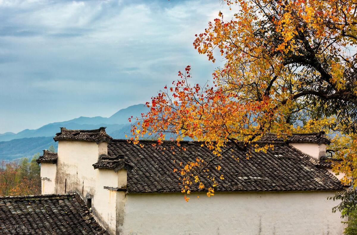 学会4个表达方式高情商,5个高情商表达技巧