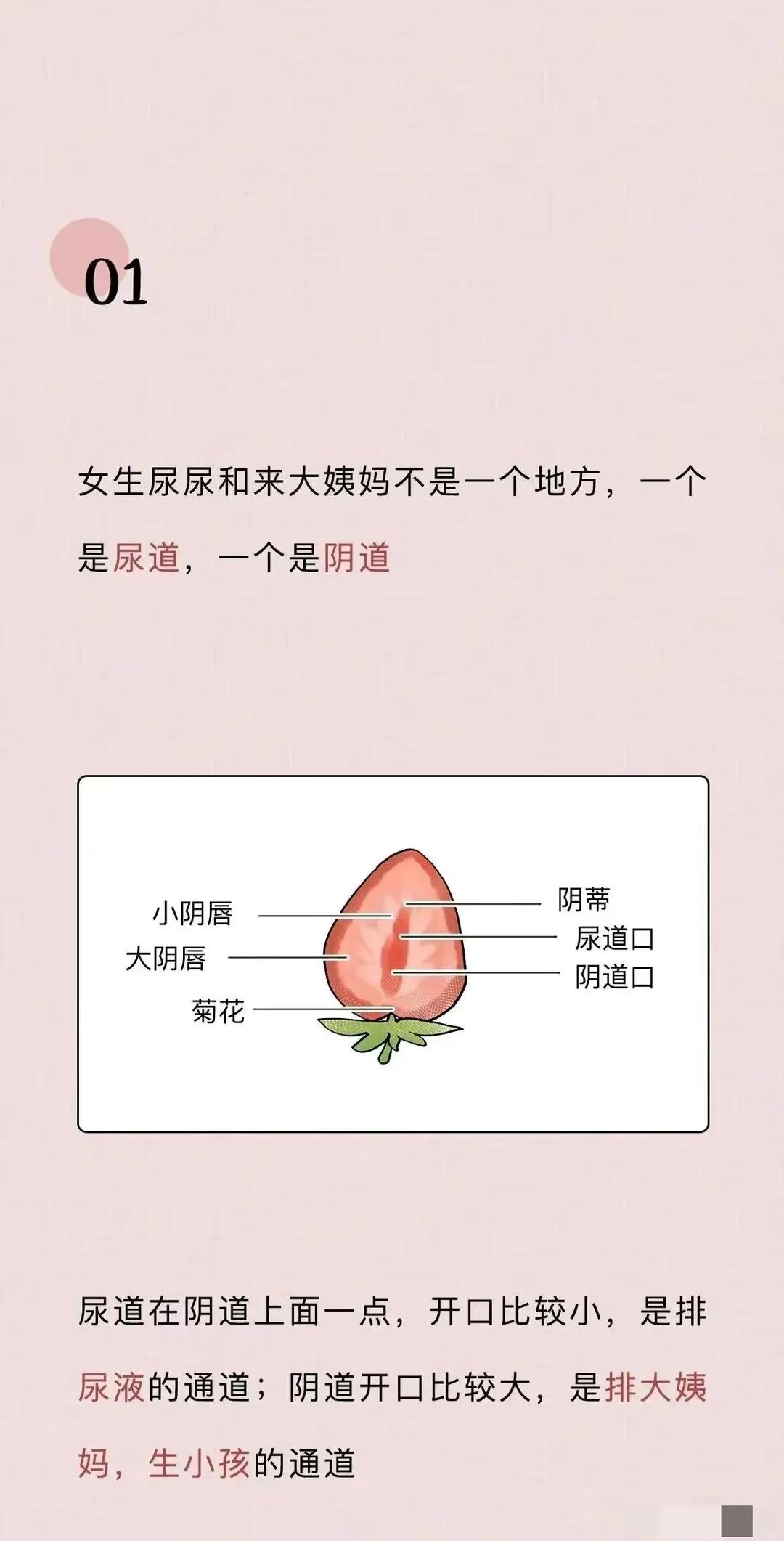关于阴道你必须知道的12个正经小知识，男女都有必要了解！