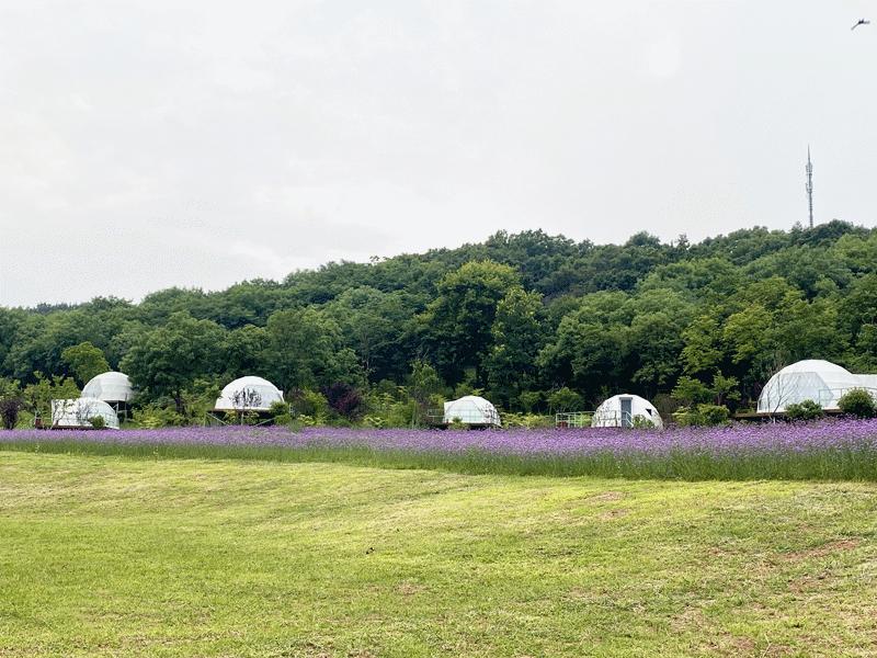 孩子们的快乐星球！周末带娃，肥西这些地方就够啦！