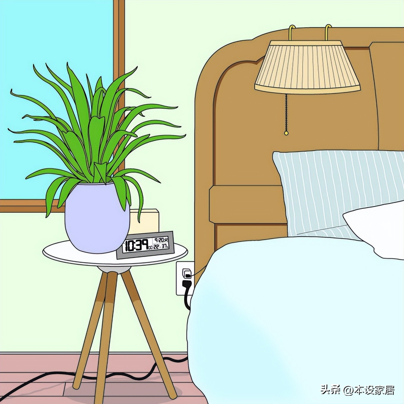 吸甲醛净化空气的绿植和花有哪些,室内净化空气用什么绿植最好