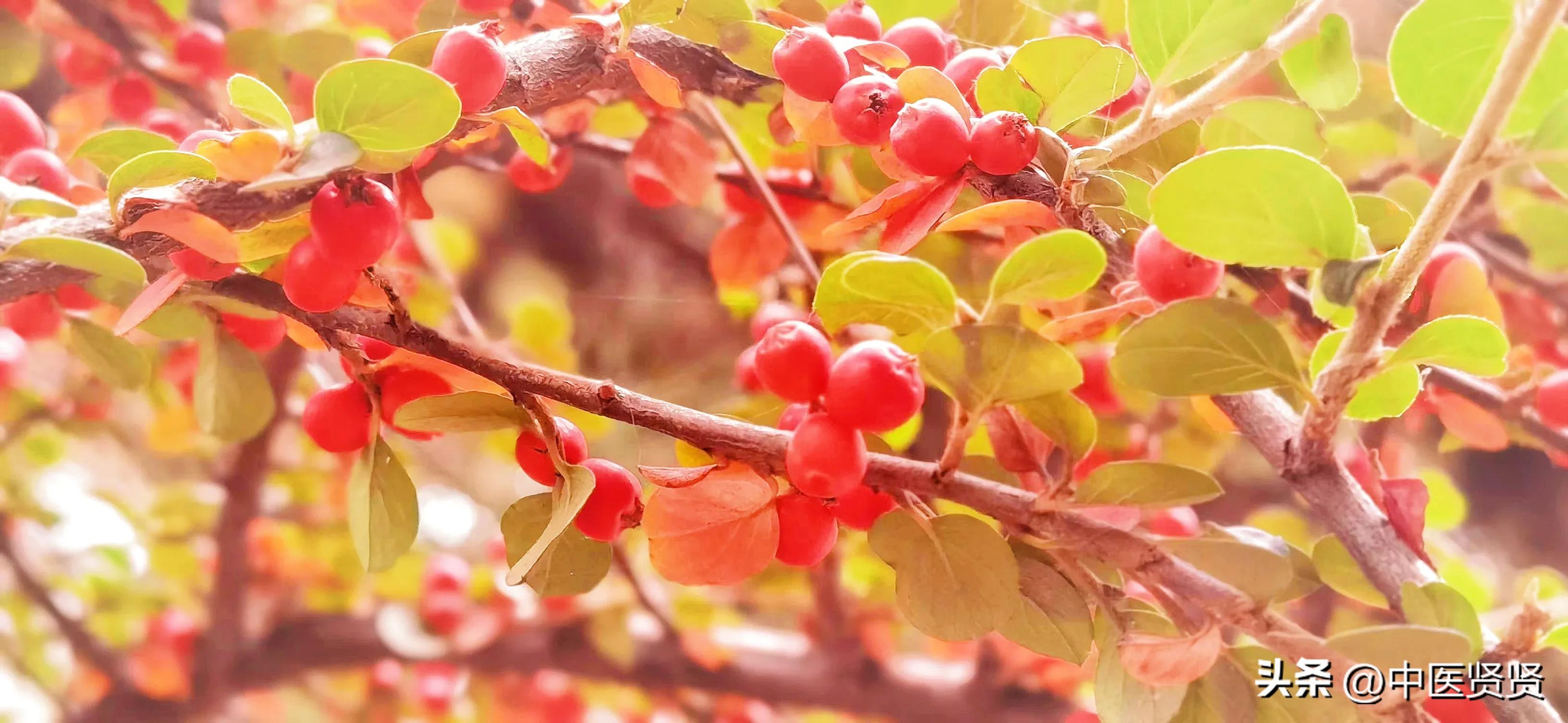 前列腺增生多发结节良性严重吗,良性前列腺增生病人的护理论文