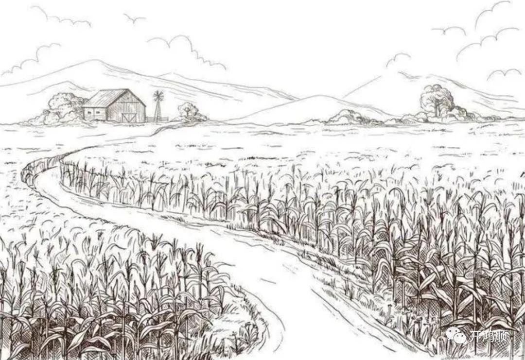 发家致富的小故事,勤劳奋进的小故事