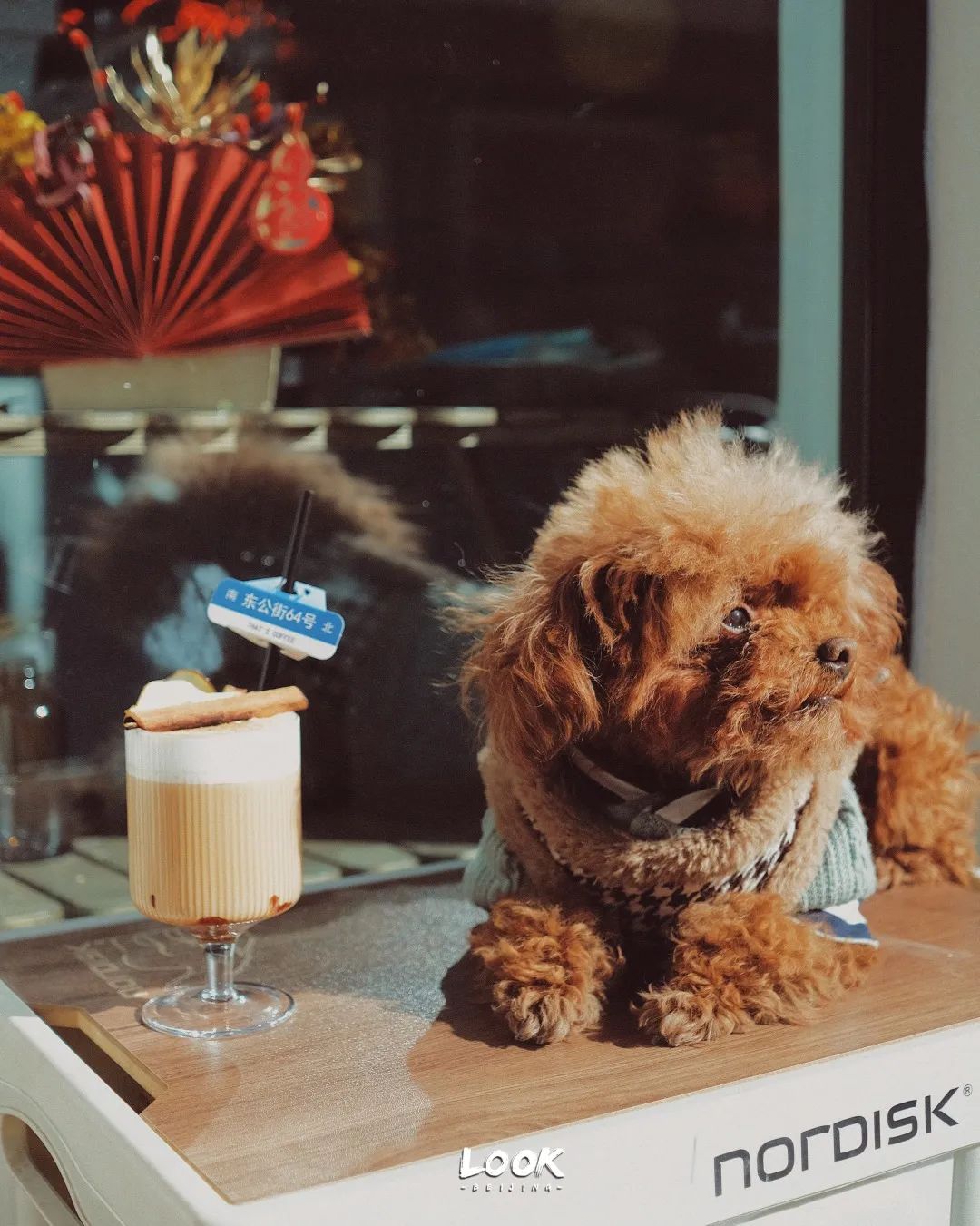 北京哪里有宠物店铺,宠物友好商城北京