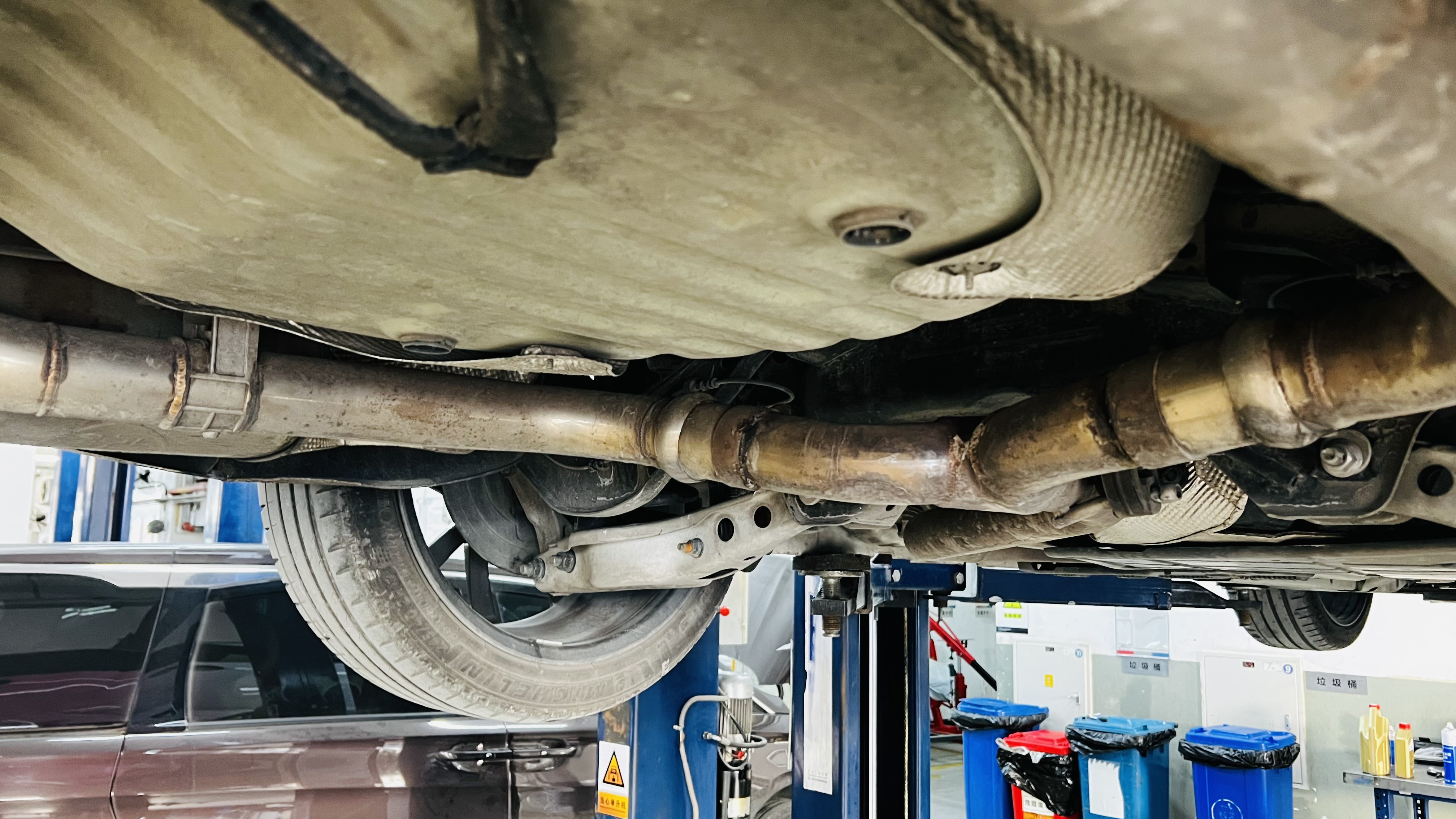 艾伦养护注意事项,艾伦怎样养护