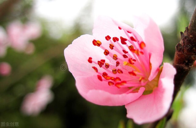 河南省内旅游景点门票免费,河南新乡免费景点全部免门票