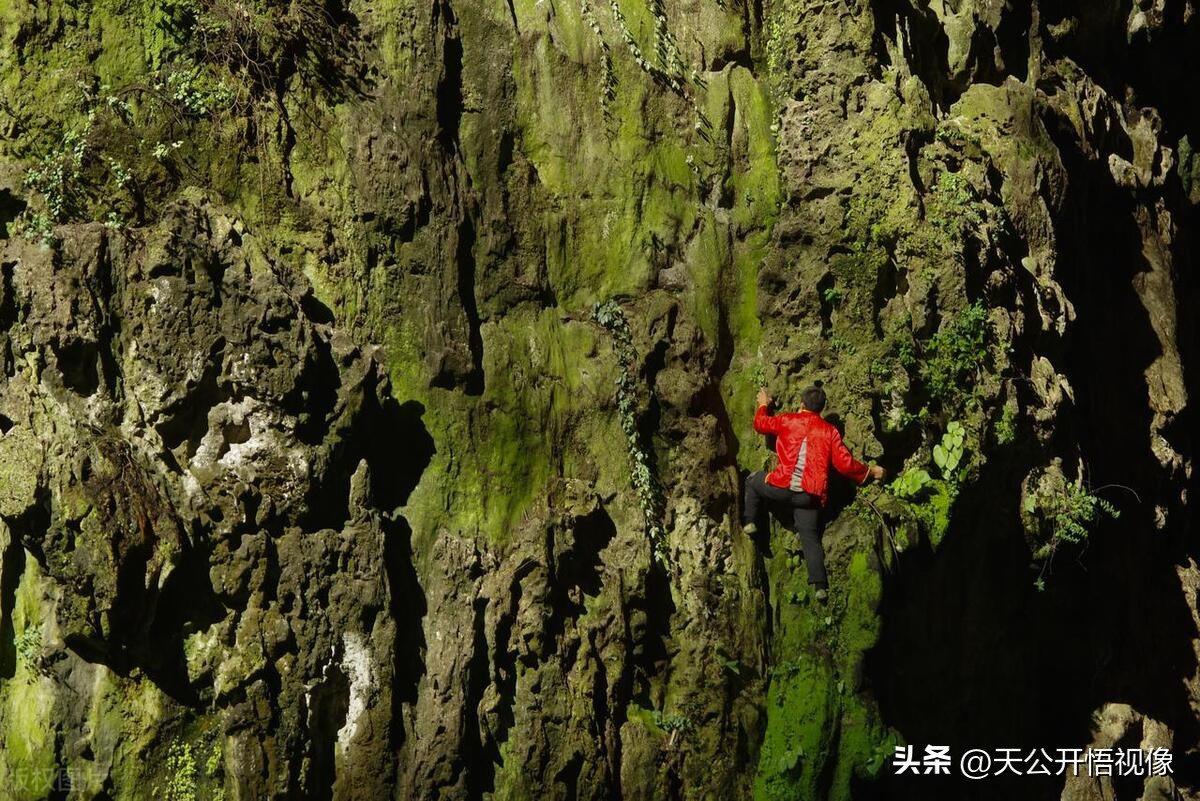 贵州十大旅游景点毕节市旅游景区,贵州有哪些必游的旅游景点