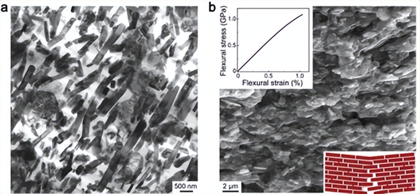 “中科院”金属所研发出新型仿生金属”“陶瓷，它的用途何在？