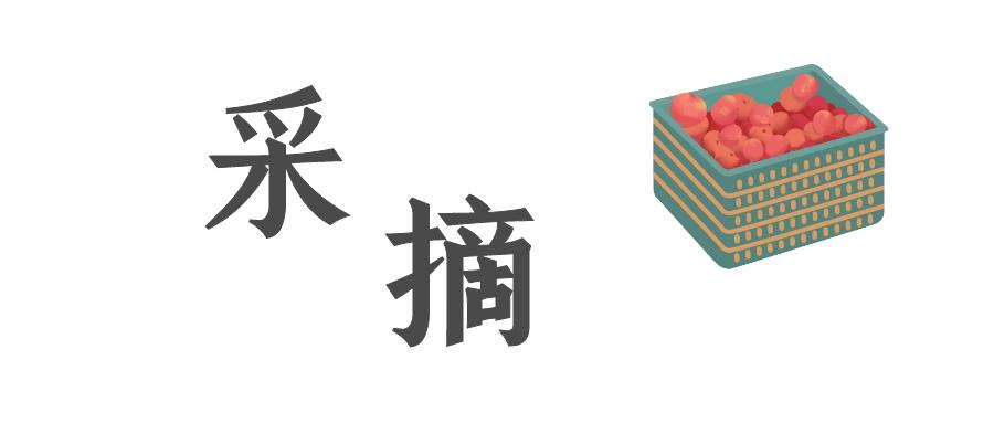冬日露营围炉煮茶的闲适和惬意,记一次秋天的围炉煮茶露营