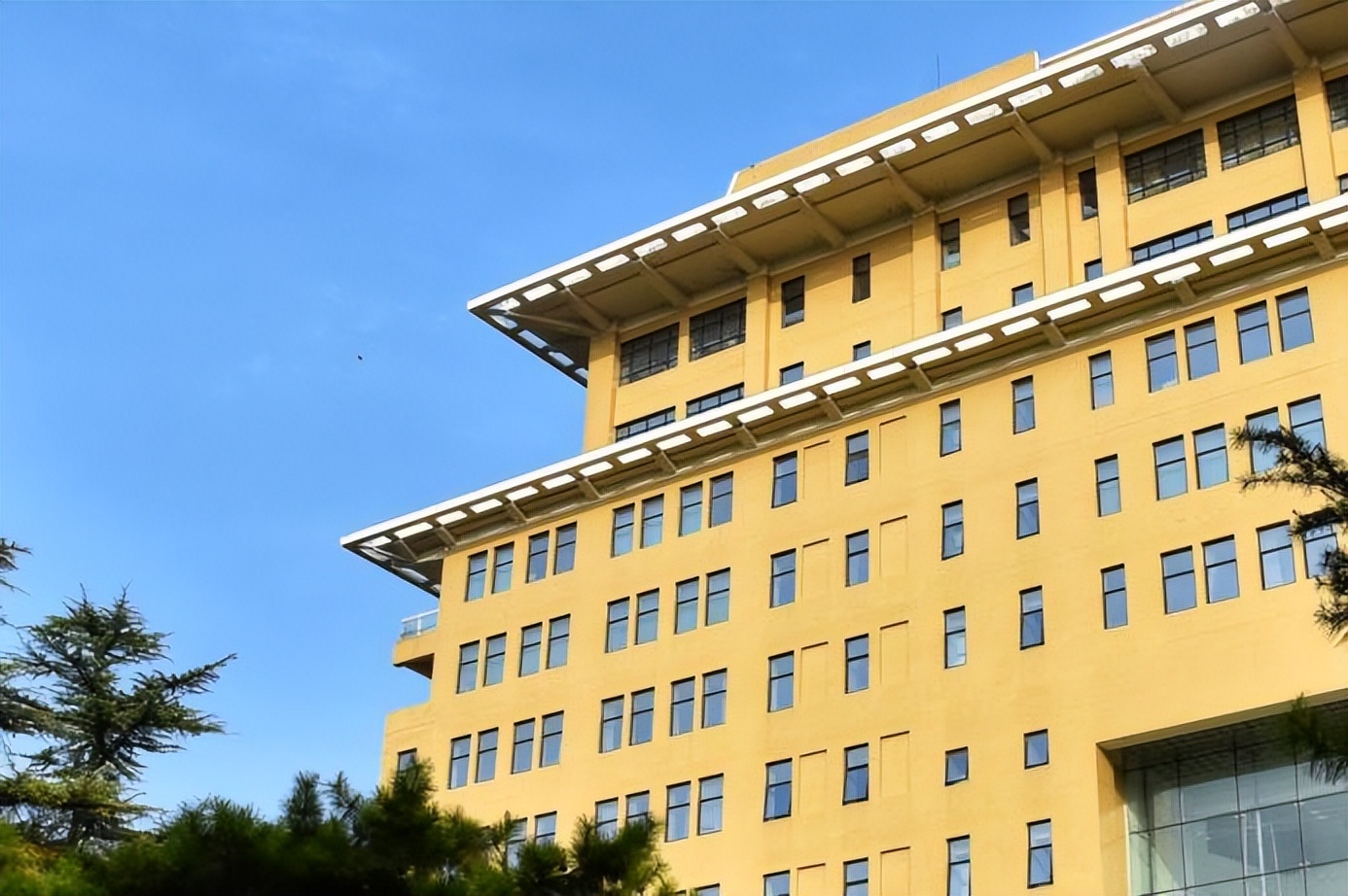 国务院发文支持!这类人才社会急需、缺口巨大,北京名校:专业一流,就业率100%