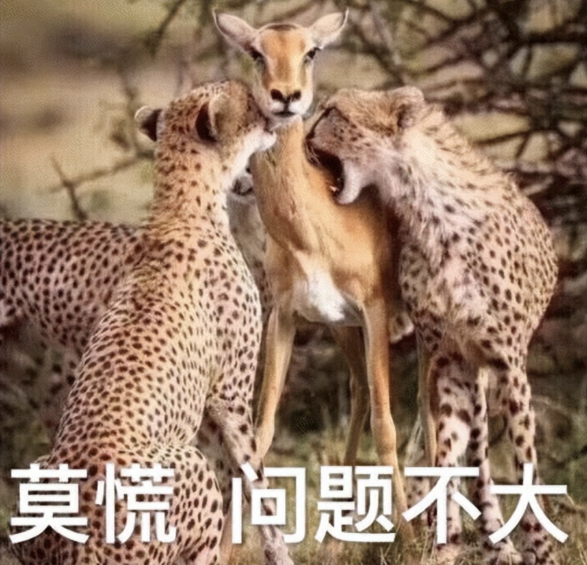 射枪射不准怎么办,和平精英腰射瞄不准人怎么办