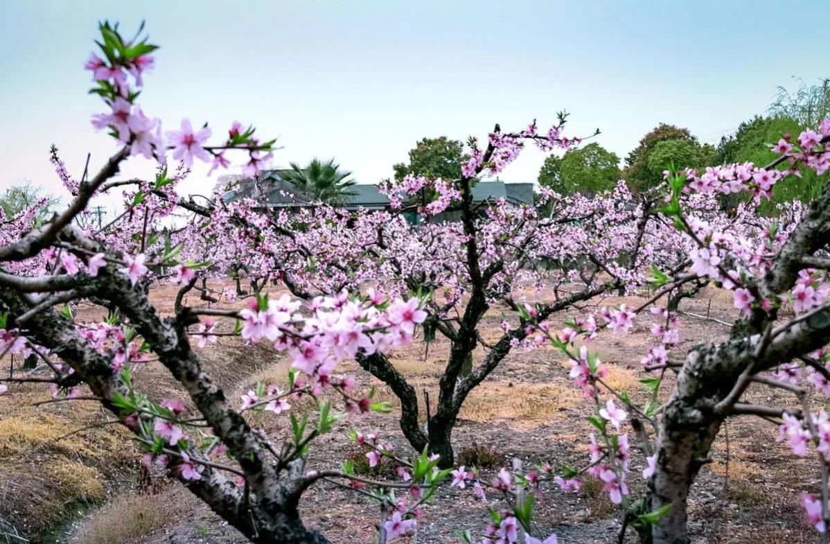 门前放铜钱应该说什么吉利话,宅西有路财神光顾有什么说法