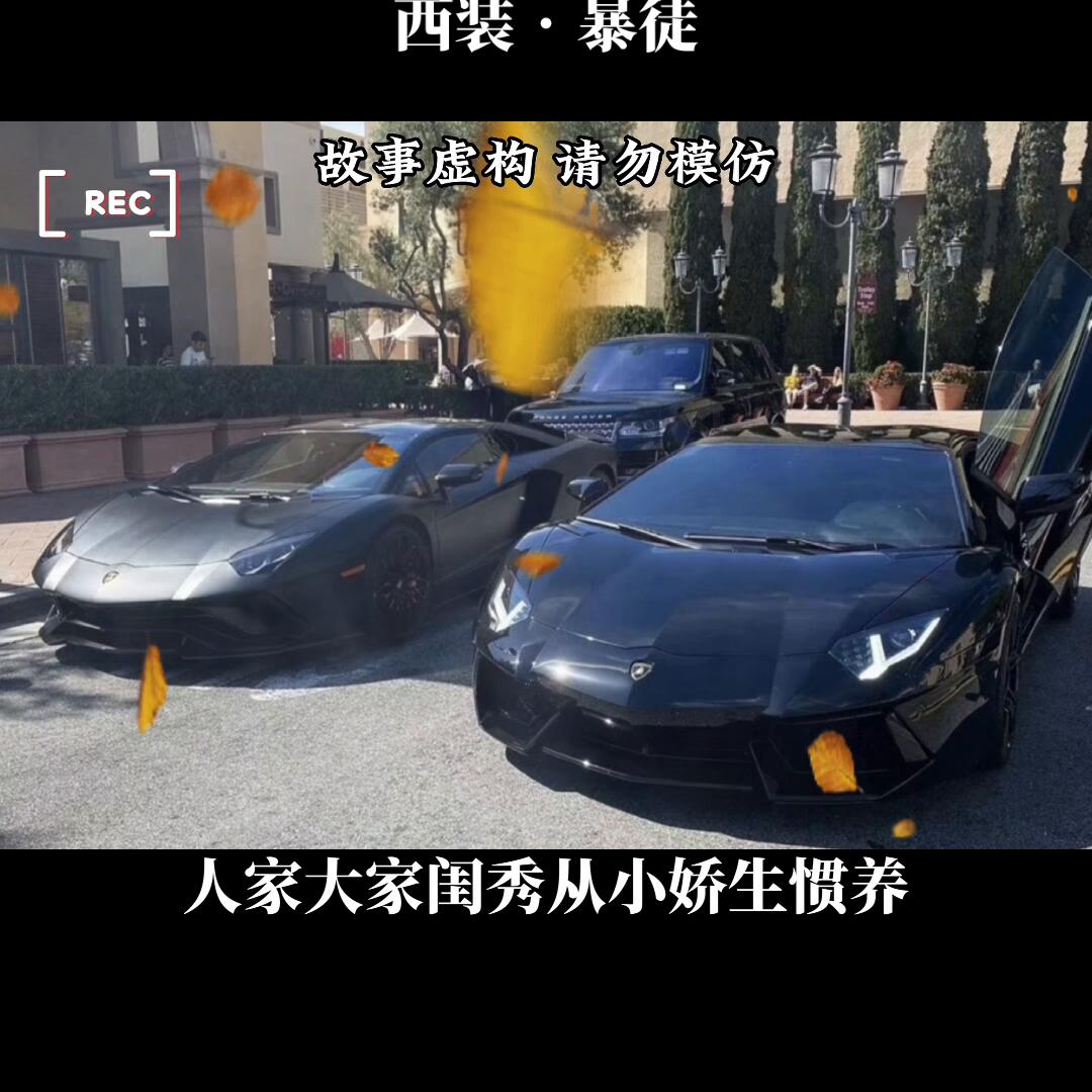 聂磊大战广东荣邦集团全集,聂磊vs荣邦集团第5集