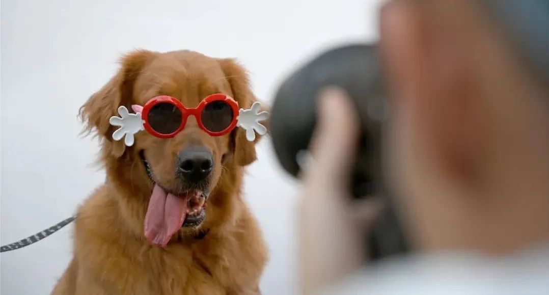 上海万象城虹桥中心,上海万象城品牌布局图