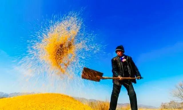 未及时支付欠款的法律后果,未及时足额支付合法吗