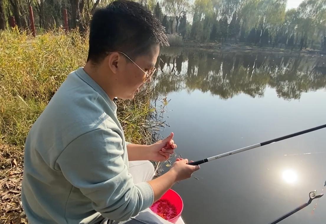 打了窝鱼口不好还要继续打窝吗,打了窝不发窝