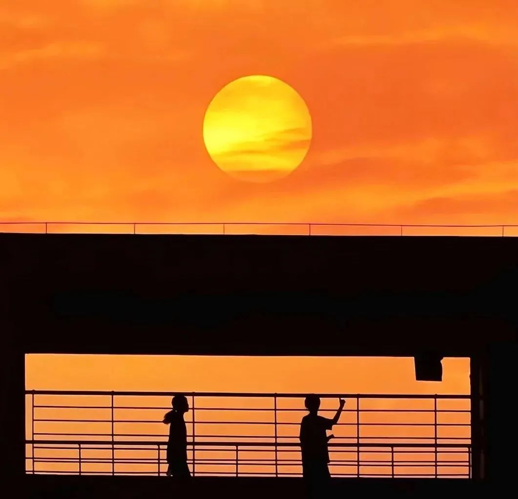 头像高级小众男士用,头像高级小众动漫女