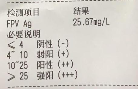 猫瘟最有效的治疗办法,猫咪得了猫瘟在家怎么治疗