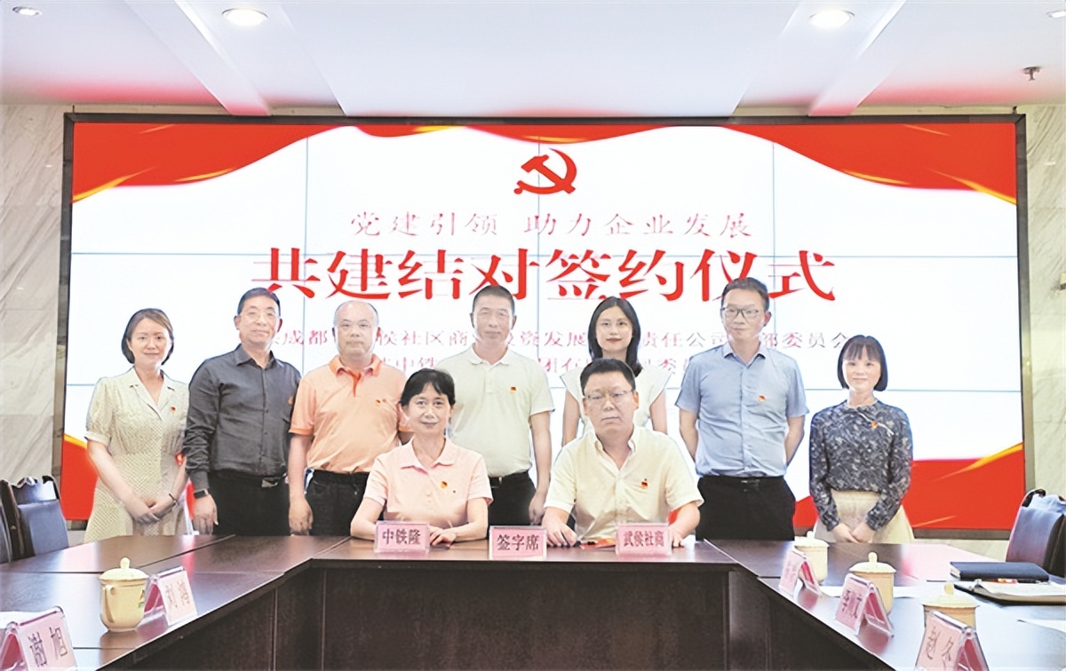 党组织融入公司治理存在的问题,党组织融入公司治理存在问题