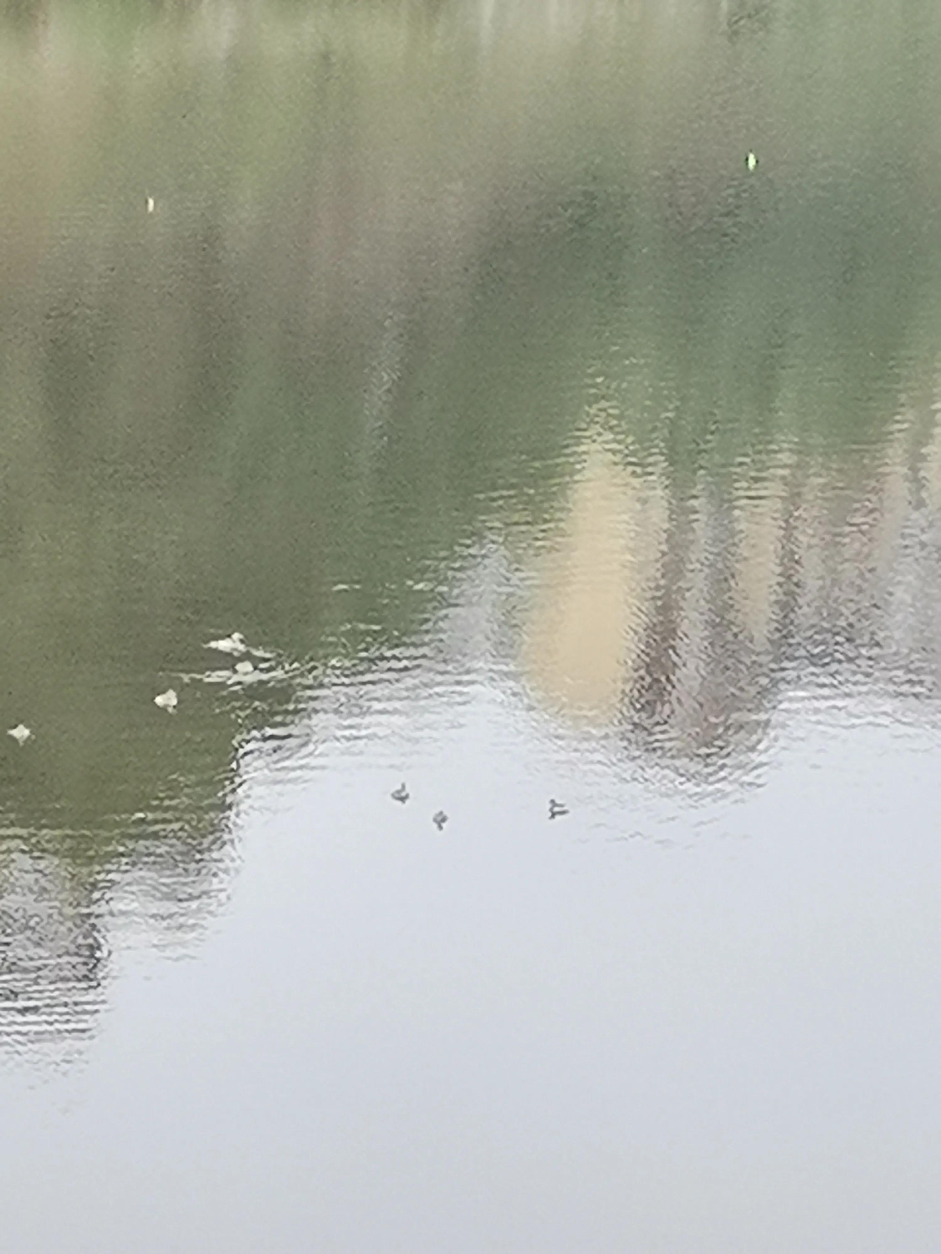 一座幽静舒适的小城镇——荣昌