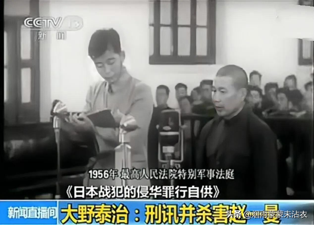 大野泰治的实录,大野泰治为什么不判死刑