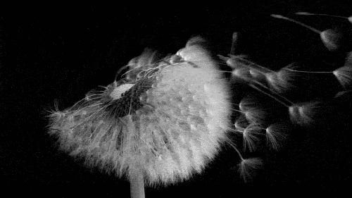 如何选择羽绒被的克重,羽绒被面料怎么买