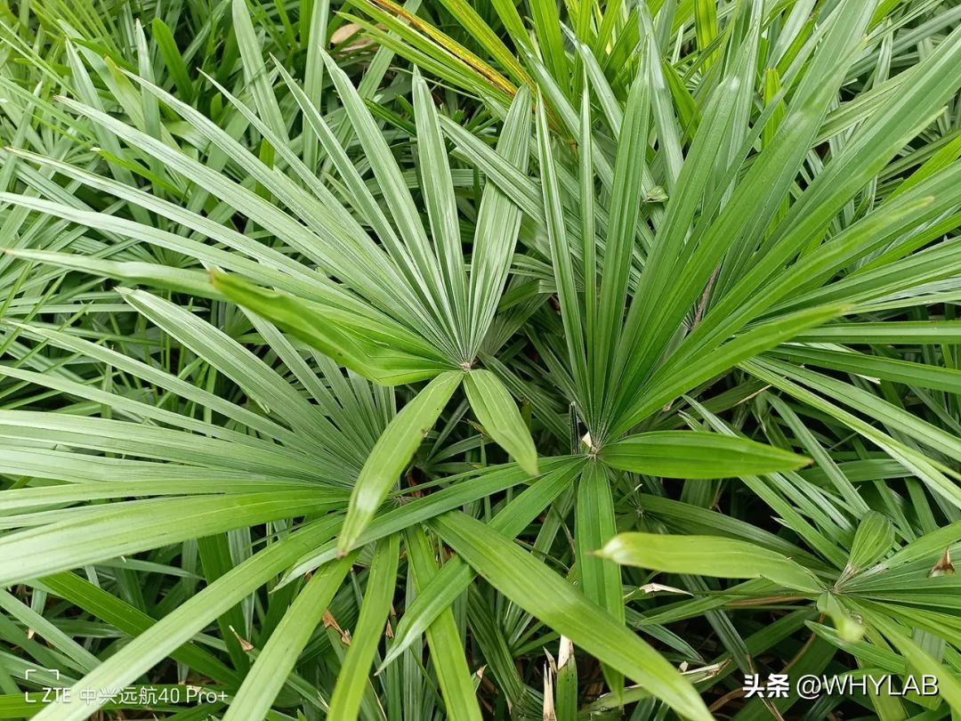 涓叴杩滆埅40,涓叴杩滆埅40pro+