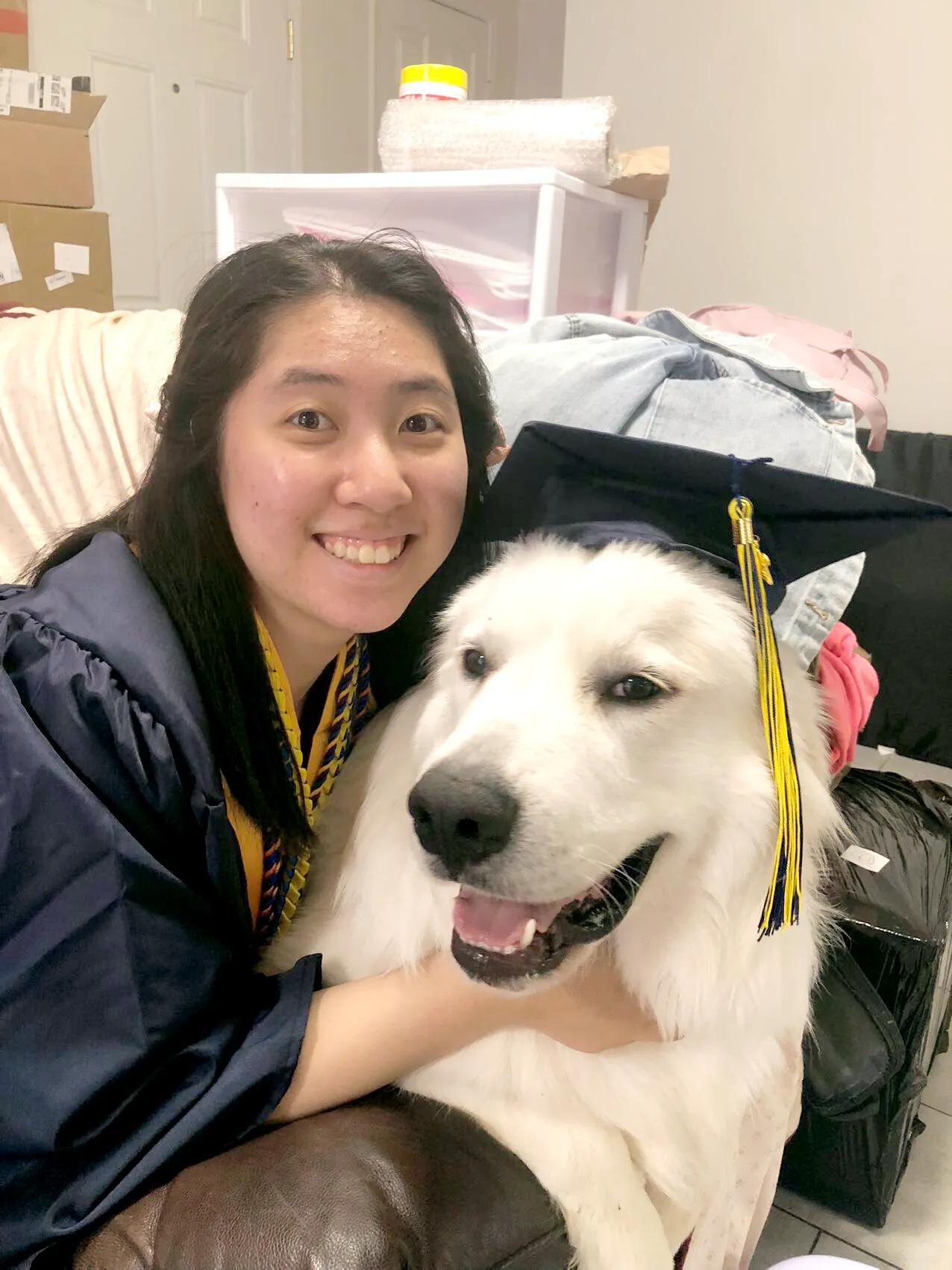 大白熊小狗,大白熊专用宠物狗