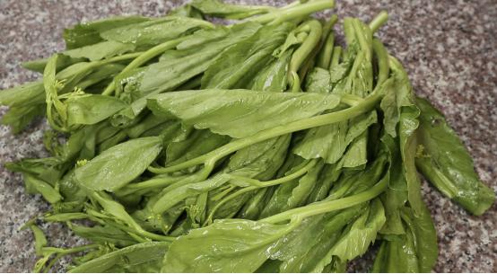 淘米水不加盐腌制酸菜方法,淘米水酸菜腌了5天还不酸