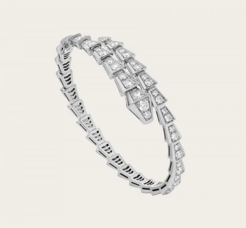 夏天担心藏不住“蝴蝶袖”？集齐明星博主教你“手镯转移*法大**”